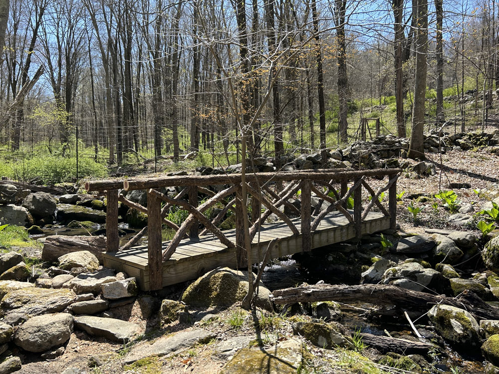 Rustic bridge railings custom built using cedar trees and branches titled the Bedford Bridge