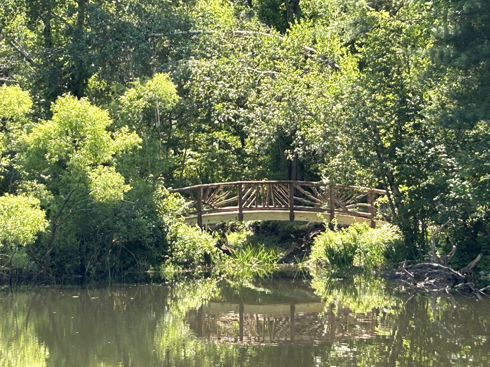 Rustic bridge built using bark-on trees and branches titled the Hillsdale Bridge 