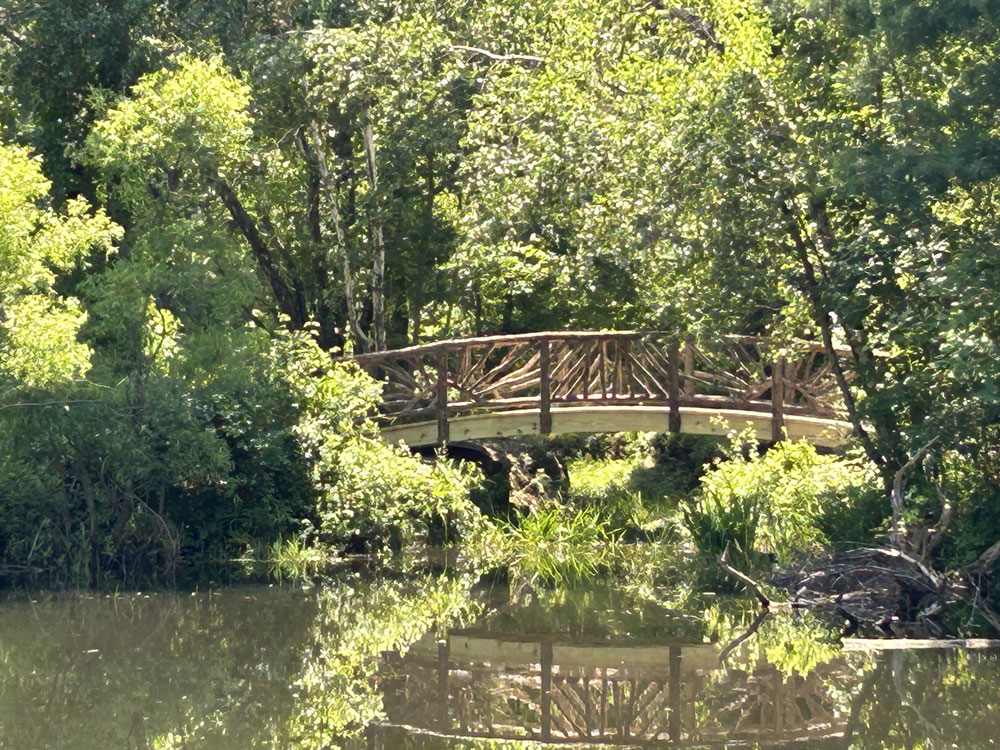 Rustic bridge built using bark-on trees and branches titled the Hillsdale Bridge 