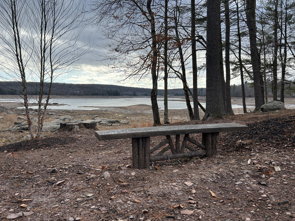 Rustic bench custom built using cedar trees and branches titled the White Lake Bench