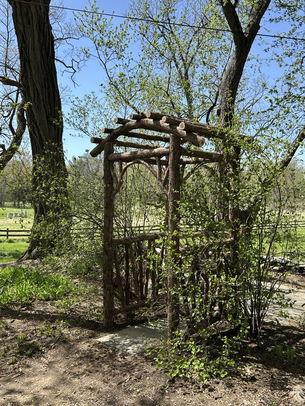 Rustic natural arbor made from bark-on cedar logs, twigs, and branches titled the Echo Valley Arbor