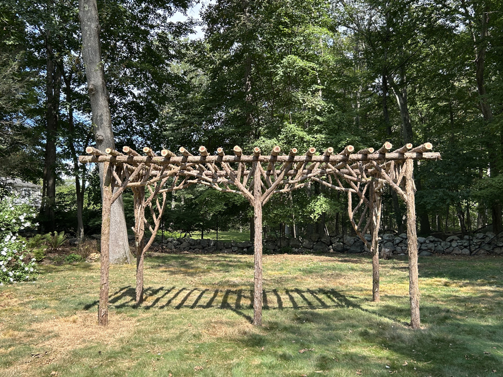 Natural wood rustic pergola built with trees and branches titled the Stamford Pergola