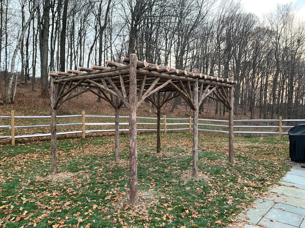 Natural wood rustic pergola built with trees and branches titled the Pine Plains Pergola
