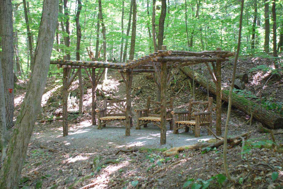 Natural wood rustic pergola built with trees and branches titled the Falling Waters North