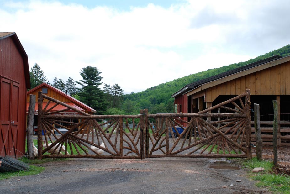 Driveway gates built in the rustic style using logs and branches titled Woodstock Sanctuary Gates