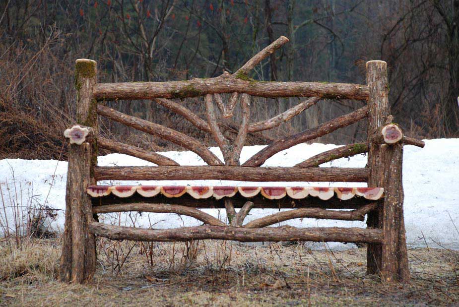 Rustic bench custom built using cedar trees and branches titled the Delhi