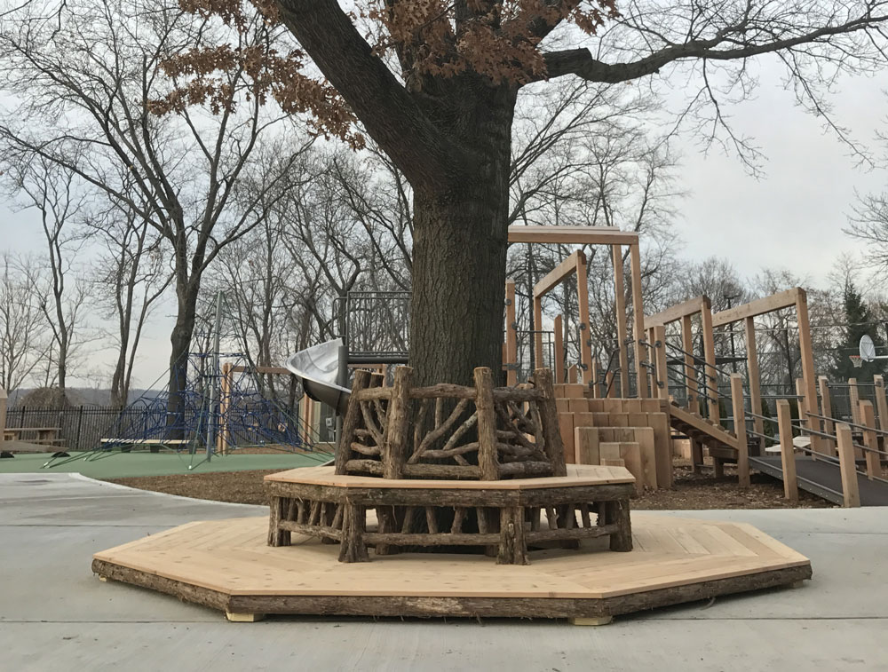 Outdoor rustic bench built around a tree in a park using bark-on trees and branches titled the Skyview